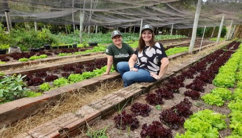 Horta Solidária do Centro Universitário promove o cultivo e doação de legumes