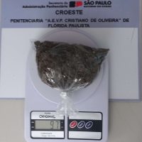 P. Flórida Pta – Apreensões (foto 1) Sabrina