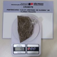 P. Flórida Pta – Apreensões (foto 2) Gislene