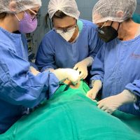 WhatsApp Image 2023 12 07 At 13.35.57