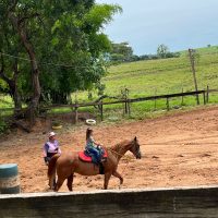 WhatsApp Image 2023 12 12 At 14.18.19 (1)