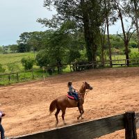 WhatsApp Image 2023 12 12 At 14.18.19