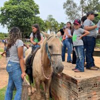 WhatsApp Image 2023 12 12 At 14.18.21