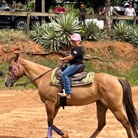 WhatsApp Image 2023 12 12 At 14.18.23