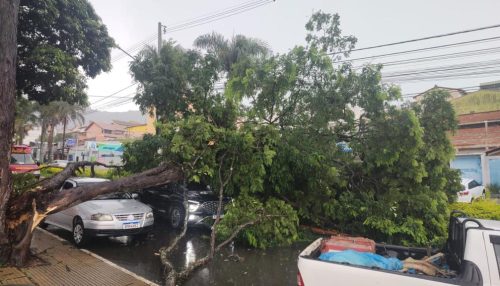 Energisa alerta população sobre riscos elétricos nos dias chuvosos