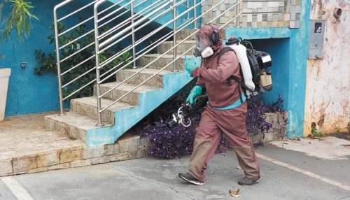 Adamantina tem 3 casos positivos de dengue confirmados em 2024