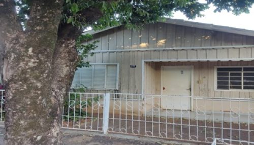 A velha Árvore e a Casinha Branca Solange Lisboa