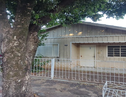 A velha Árvore e a Casinha Branca Solange Lisboa