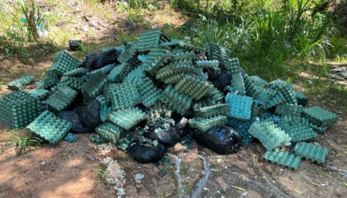 Bandejas e restos de ovos são descartados irregularmente em estrada rural de Adamantina