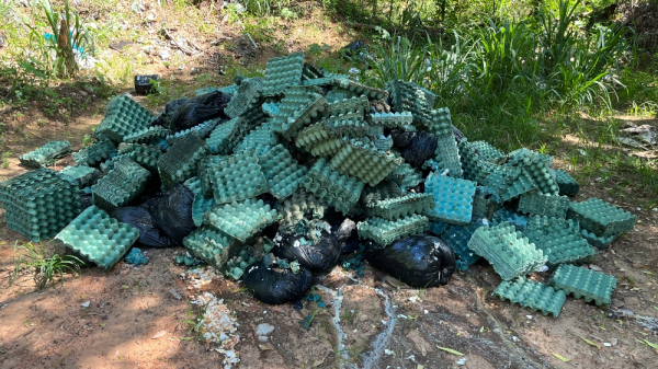 Bandejas e restos de ovos são descartados irregularmente em estrada rural de Adamantina
