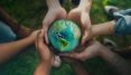 Sicredi neutraliza emissões de carbono