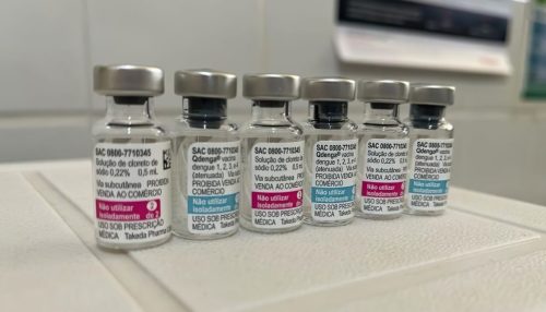 Vacinação contra dengue vai priorizar faixa etária de 6 a 16 anos