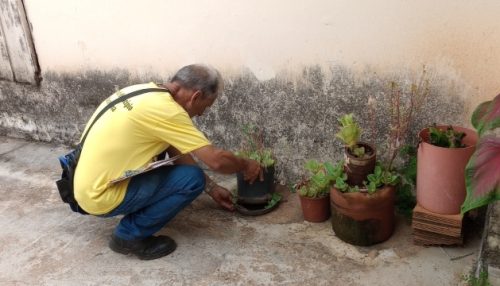 Prefeitura de Adamantina orienta população no cuidado contra o mosquito Aedes Aegypti