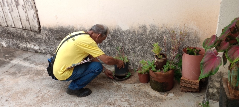 Prefeitura de Adamantina orienta população no cuidado contra o mosquito Aedes Aegypti