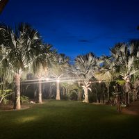 WhatsApp Image 2024 03 02 At 12.49.57 (1)