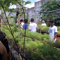 WhatsApp Image 2024 03 13 At 17.58.10