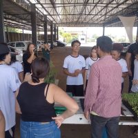 WhatsApp Image 2024 03 13 At 17.58.13 (1)