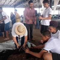 WhatsApp Image 2024 03 13 At 17.58.14