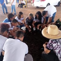 WhatsApp Image 2024 03 13 At 17.58.16