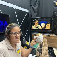 WhatsApp Image 2024 03 26 At 15.51.09 (1)