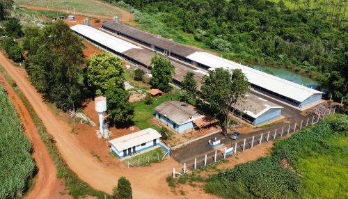 Patrocinador da Agrishow 2024, Sicredi se consolida como principal parceiro do agronegócio brasileiro