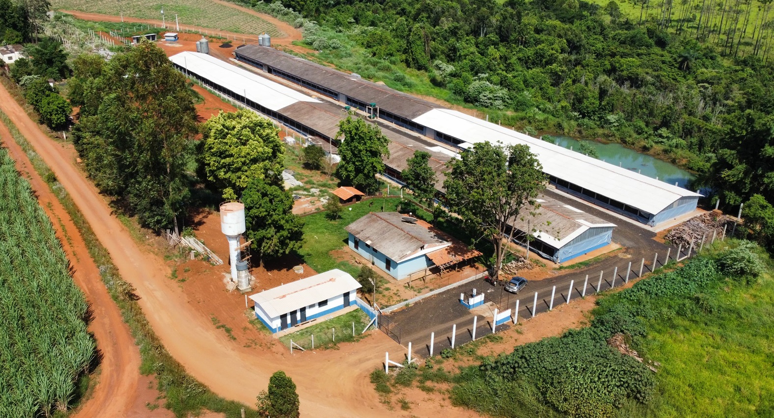 Patrocinador da Agrishow 2024, Sicredi se consolida como principal parceiro do agronegócio brasileiro