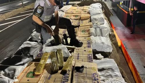 Operação policial apreende 2,5 toneladas de maconha escondidas em carga de fécula de mandioca