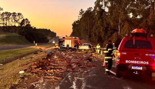 Caminhonete capota e espalha carga de mel na Rodovia