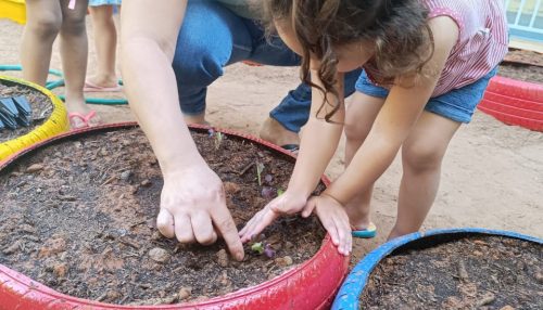 EMEI Criança Feliz implanta horta na escola em parceria com a SAAMA