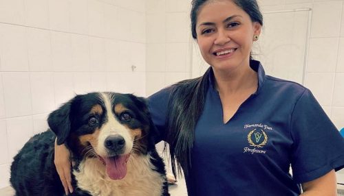 Docente de Veterinária defende tese de doutorado sobre galinhas poedeiras