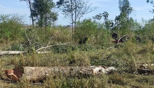 Tombamento de trator durante derrubada de eucalipto em propriedade rural mata ex-vereador
