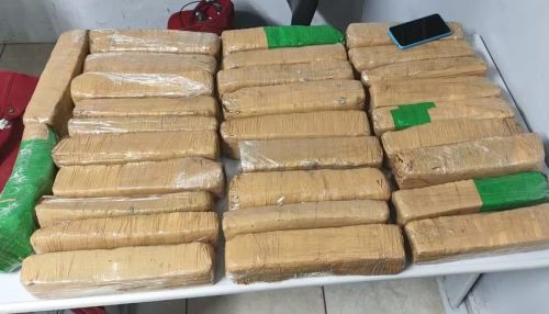 Passageiro é questionado sobre carteira perdida e acaba preso com 30 tabletes de maconha no Terminal Rodoviário