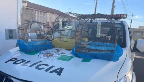 Fiscalização flagra 11 infrações ambientais e aplica multas de R$ 12,3 mil em Adamantina e Salmourão