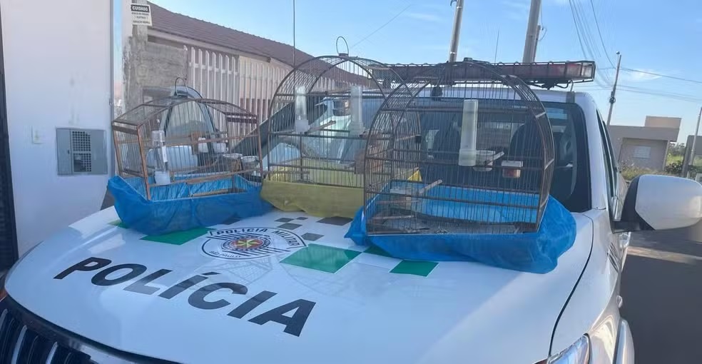 Fiscalização flagra 11 infrações ambientais e aplica multas de R$ 12,3 mil em Adamantina e Salmourão