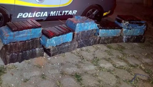 Motorista é preso com 300 kg de maconha após caminhão quebrar na Rodovia