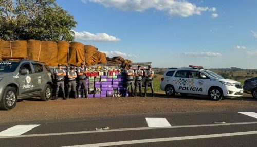 Motorista joga caminhão em cima de policiais e acaba preso com 1,5 tonelada de maconha e skank