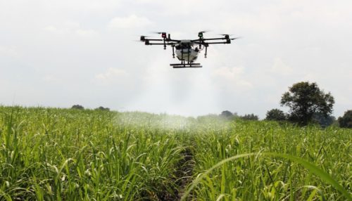 ExpoVerde 2024 terá como tema 