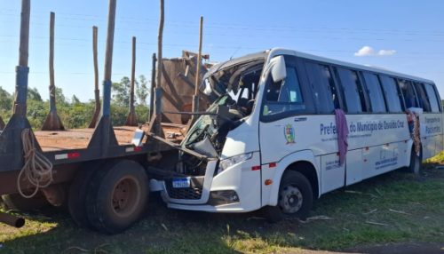 Ônibus com pacientes de Osvaldo Cruz bate na traseira de caminhão na SP-294, ferindo passageiros