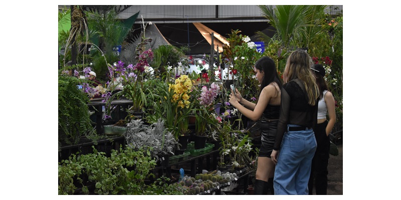 ExpoVerde 2024 terá ampla variedade de flores e plantas