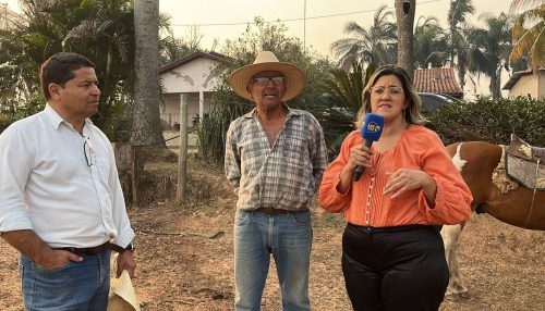 Incêndios atingem várias áreas rurais do estado de SP. Tarcísio, governador, vem a Lucélia