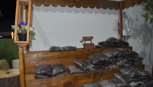 ExpoVerde terá distribuição gratuita de composto orgânico