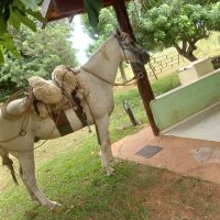 WhatsApp Image 2024 08 23 At 08.34.35 (3)