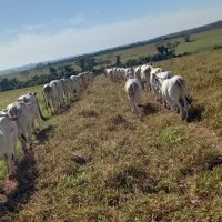 WhatsApp Image 2024 08 23 At 08.34.36