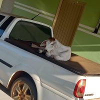 WhatsApp Image 2024 08 23 At 08.34.37 (2)