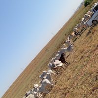 WhatsApp Image 2024 08 23 At 08.34.38