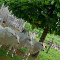 WhatsApp Image 2024 08 23 At 08.34.38 (3)