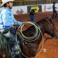 37C0F3A8 177A 47D1 9ACC 2643CB7E3D04