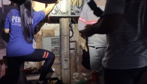 Energisa Sul-Sudeste flagra e desativa fraude em estabelecimento comercial de Osvaldo Cruz