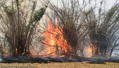 Incêndio de grande proporção atinge área de pastagem e mata em Bastos