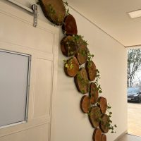 WhatsApp Image 2024 09 10 At 12.18.08